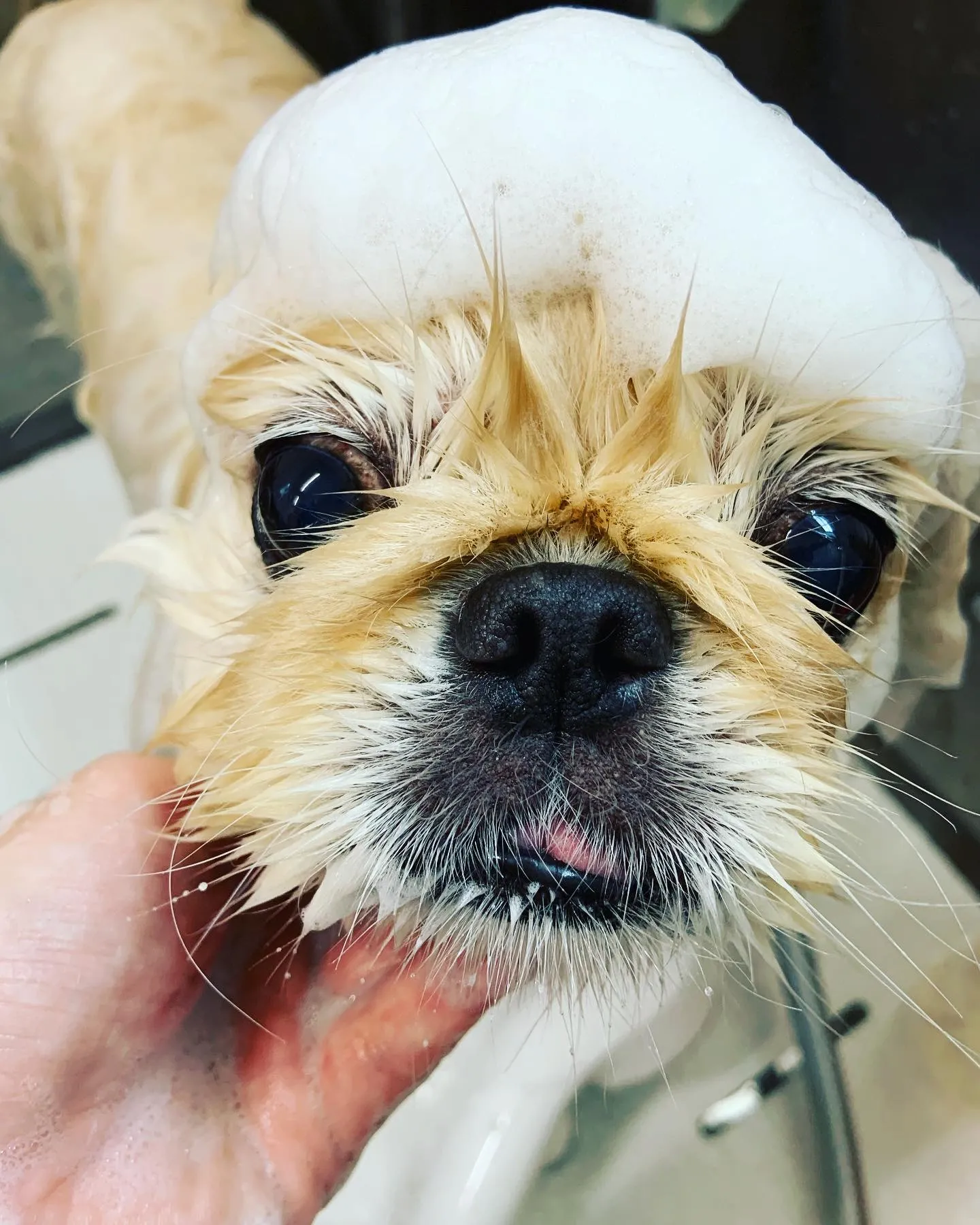 🫧泡パックについて🫧